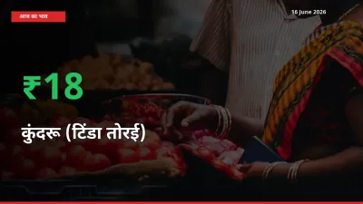 स्थानीय मंडी में कुंदरू (टिंडा तोरई) के दाम अचानक 18.12% उछले, किसान सतर्क