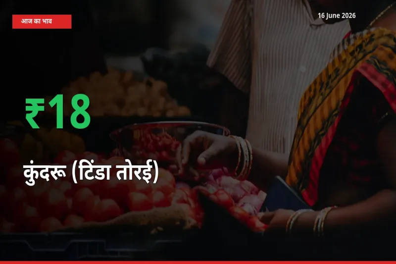स्थानीय मंडी में कुंदरू (टिंडा तोरई) के दाम अचानक 18.12% उछले, किसान सतर्क