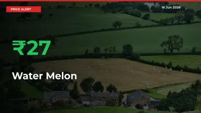 Water Melon Rises 26.8% at Mandis
