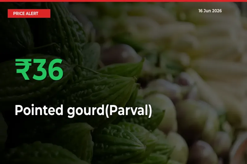 Big Rally! Pointed gourd(Parval) Climbs 35.88% in 24 Hours at Top Mandis