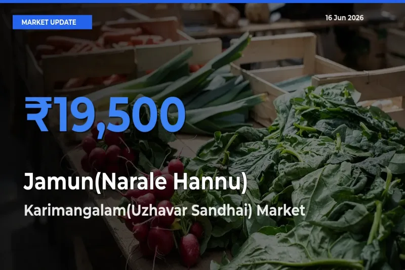 Jamun(Narale Hannu) Mandi Rate Today: Karimangalam(Uzhavar Sandhai) Tops the List