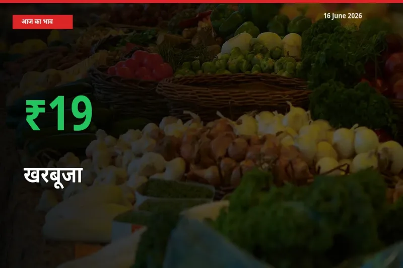 किसानों के लिए खुशखबरी! स्थानीय मंडी में खरबूजा 19.49% उछला