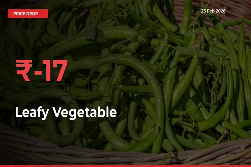 Leafy Vegetable Mandi Rate Today: Prices Fall 17.39% at Market