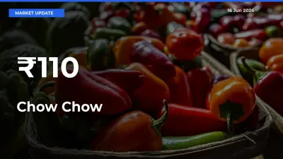 Multi-Mandi Trend Emerges as Chow Chow Prices Shift Across Key Markets