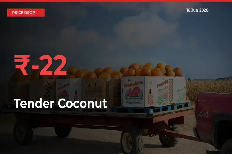 Farmers Alert as Tender Coconut Prices Slide 22.23% in Local Mandis