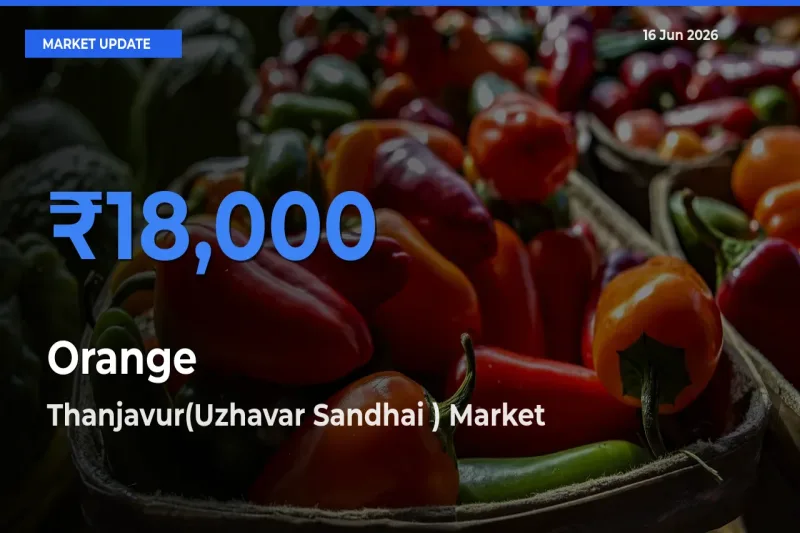 Orange Mandi Rate Today: Thanjavur(Uzhavar Sandhai ) Tops the List