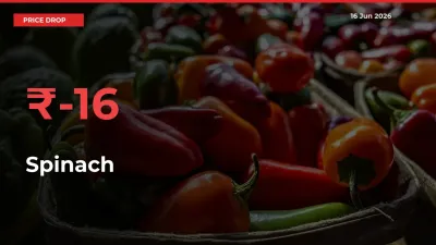 This Mandi Records 15.84% Fall in Spinach Prices