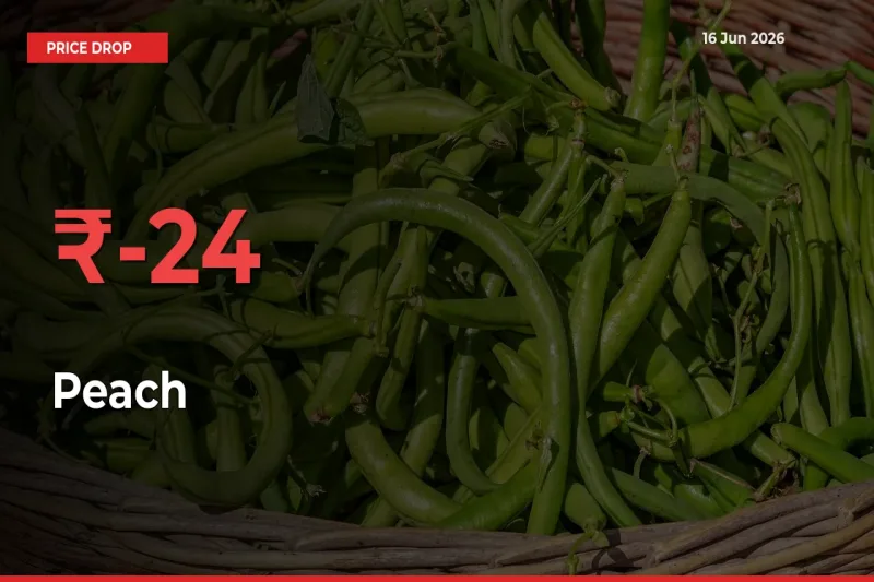 Peach Mandi Rate Today: Prices Fall 23.6% at Market