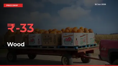 Sudden Shock! Wood Drops 32.84% in 24 Hours at Top Mandis