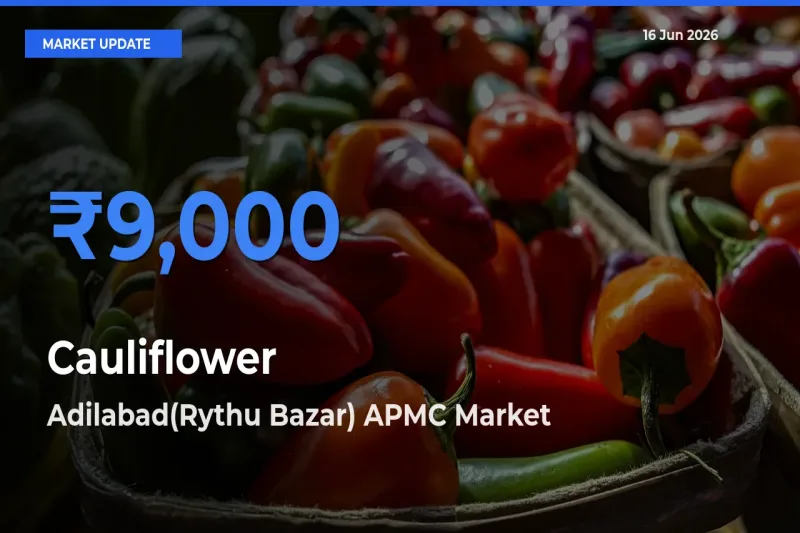 Market Watch: Adilabad(Rythu Bazar) APMC Becomes Top Mandi for Cauliflower