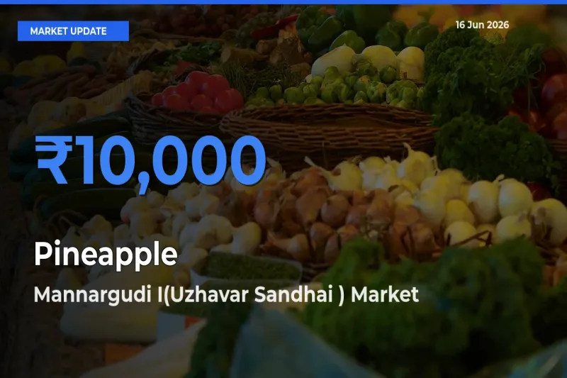 Mannargudi I(Uzhavar Sandhai ) Tops Pineapple Rates – June 16 Market Update