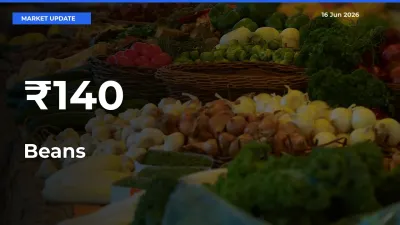 Beans Rates Show Broad Movement Across 140+ Mandis