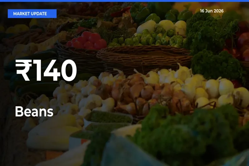 Beans Rates Show Broad Movement Across 140+ Mandis