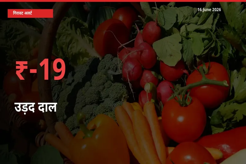 16 June अपडेट: उड़द दाल के दाम मंडी में 19.39% गिरे
