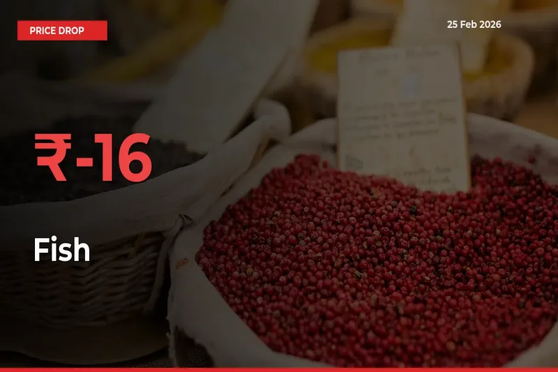 Fish Prices Drop 15.52% in 24 Hours at Major Mandis