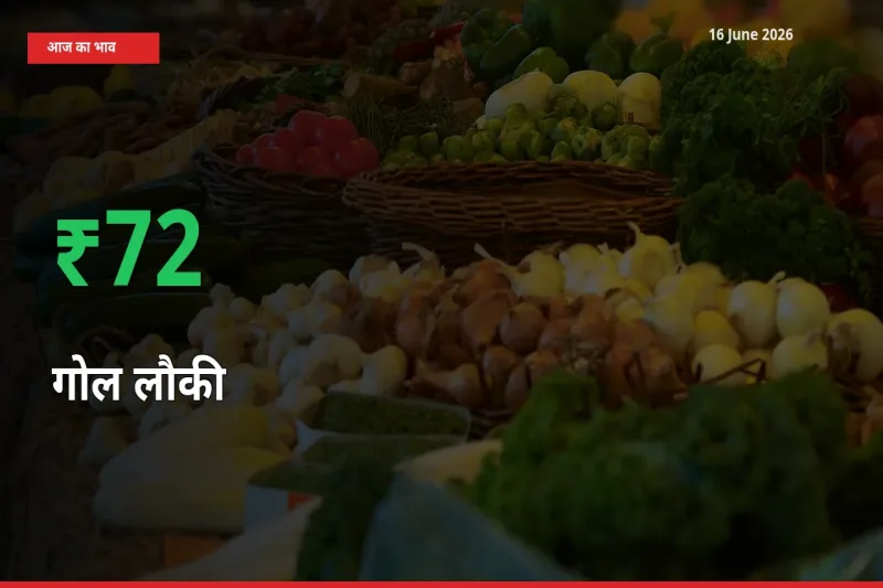 आज का मंडी भाव: गोल लौकी के दाम मंडी में 72.06% ऊपर