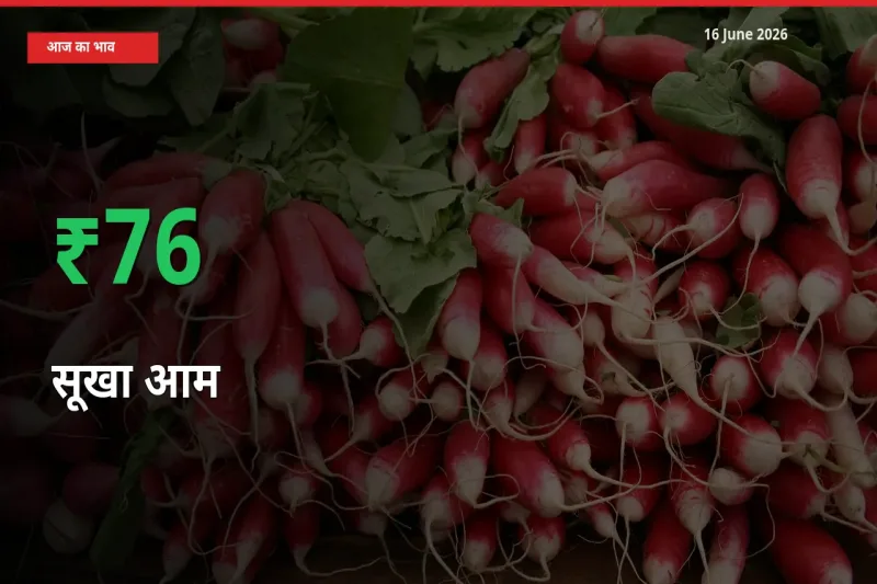 16 June अपडेट: सूखा आम के दाम मंडी में 75.95% उछले