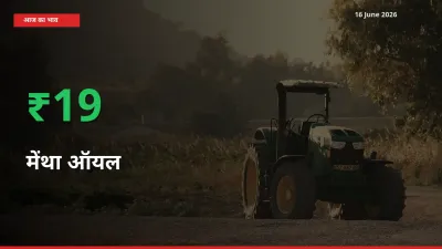 स्थानीय मंडी में मेंथा ऑयल के दाम अचानक 18.52% उछले, किसान सतर्क