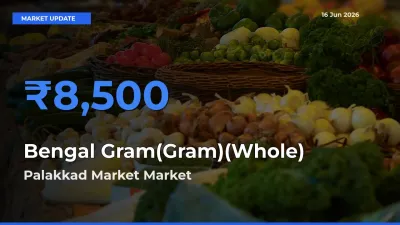 Bengal Gram(Gram)(Whole) Mandi Rate Today: Palakkad Market Tops the List