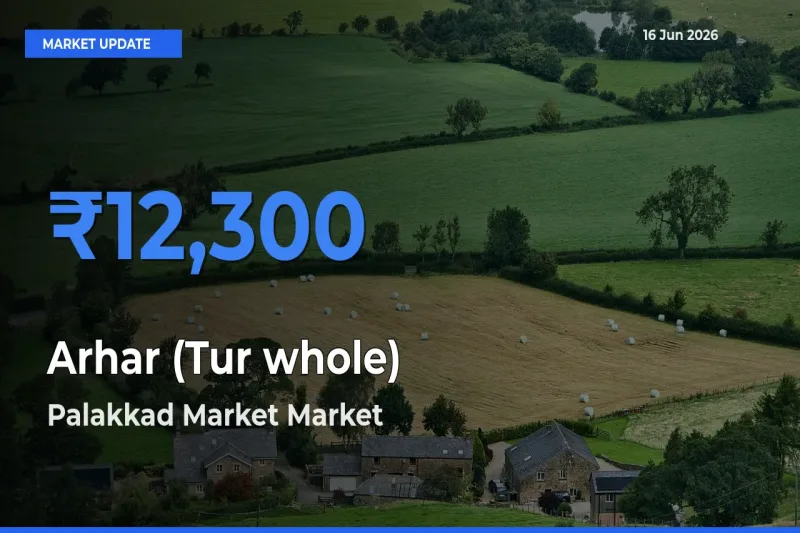 Arhar (Tur whole) Mandi Rate Today: Palakkad Market Tops the List