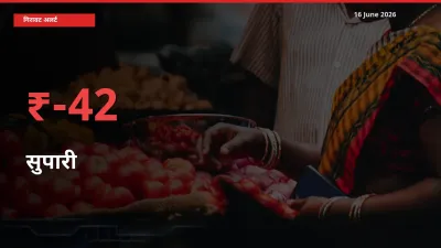 16 June अपडेट: सुपारी के दाम मंडी में 41.67% गिरे