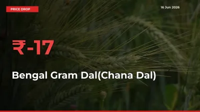 Farmers Alert as Bengal Gram Dal(Chana Dal) Prices Slide 17.47% in Local Mandis