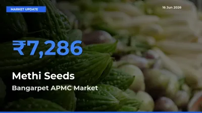 Bangarpet APMC Leads as Top Mandi for Methi Seeds Prices