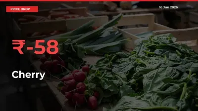 Sharp Fall! Cherry Prices Plunge 57.97% in a Day at Key Mandis