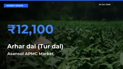 Asansol APMC Leads as Top Mandi for Arhar dal (Tur dal) Prices