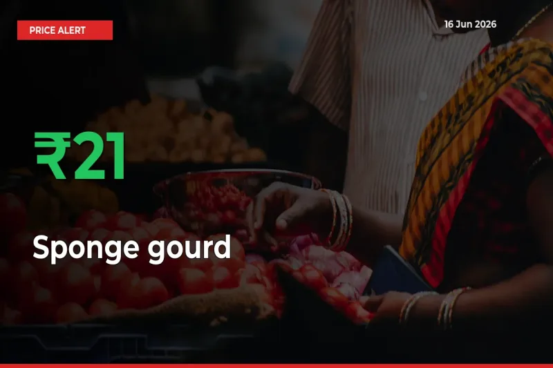 21.39% Spike in Sponge gourd Prices – Mandi Sees Sudden Rally