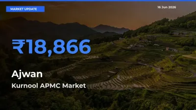 Kurnool APMC Tops Ajwan Rates – June 16 Market Update