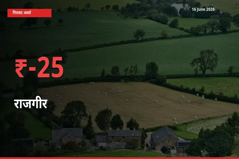 आज का मंडी भाव: राजगीर के दाम मंडी में 24.76% नीचे