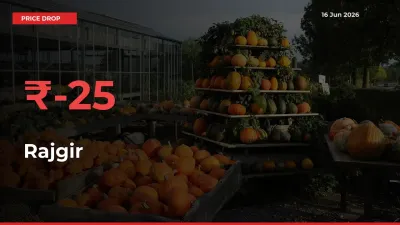Rajgir Prices Drop 24.76% in 24 Hours at Major Mandis