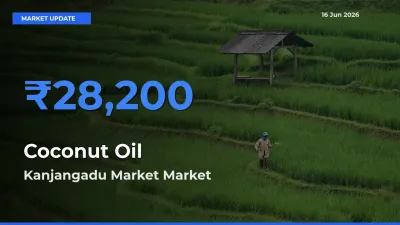 Kanjangadu Market Tops Coconut Oil Rates – June 16 Market Update