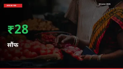 बाज़ार संकेत: सौंफ के भाव मंडी में 28.48% ऊपर