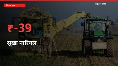 बाज़ार संकेत: सूखा नारियल के भाव मंडी में 39.09% नीचे