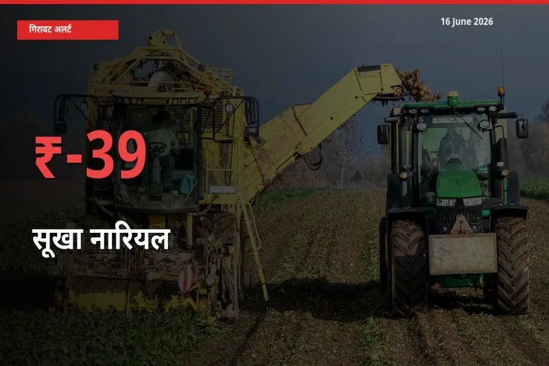 बाज़ार संकेत: सूखा नारियल के भाव मंडी में 39.09% नीचे