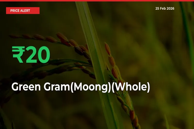 Why Green Gram(Moong)(Whole) Prices Rose 20.47% in a Day at Mandis