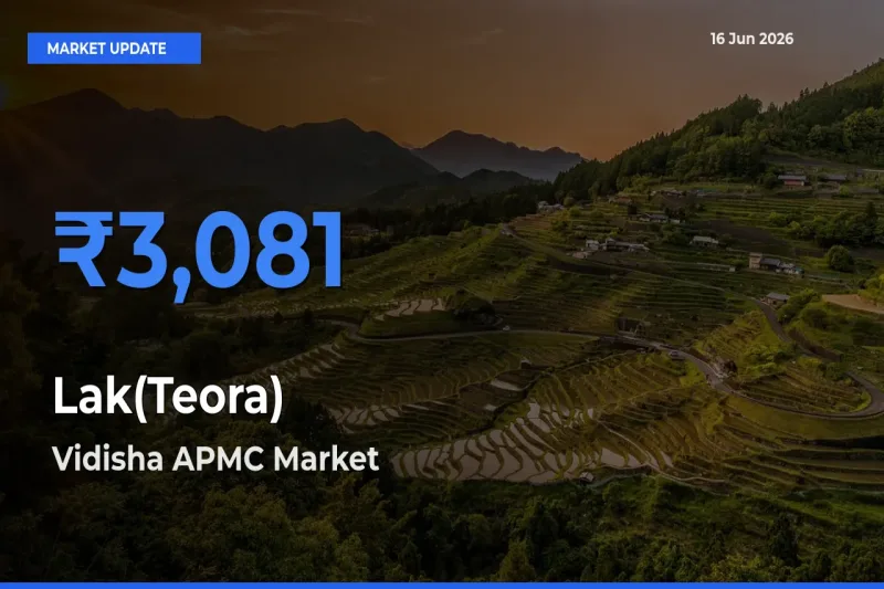 Vidisha APMC Tops Lak(Teora) Mandi Rates Today