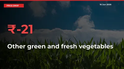 21.43% Drop in Other green and fresh vegetables Prices – Mandi Sees Sudden Fall