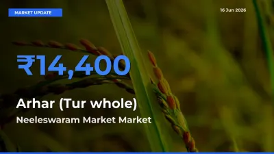 Neeleswaram Market Emerges as Top Mandi for Arhar (Tur whole) Prices Today