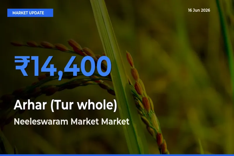 Neeleswaram Market Emerges as Top Mandi for Arhar (Tur whole) Prices Today