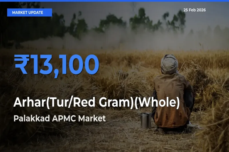Top Performer! Palakkad APMC Offers Best Arhar(Tur/Red Gram)(Whole) Price Today