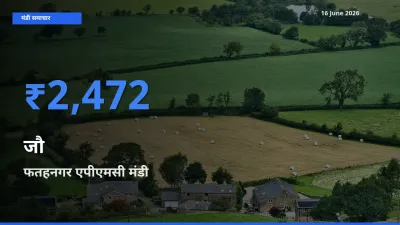 किसानों की पसंद बना फतहनगर एपीएमसी, जौ के सबसे अच्छे दाम
