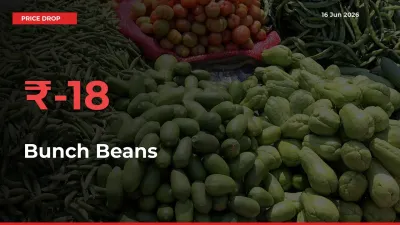 Sharp Fall! Bunch Beans Prices Plunge 18.15% in a Day at Key Mandis