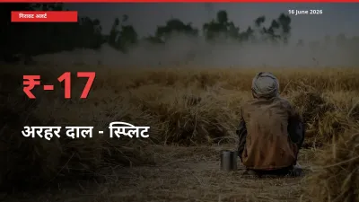 अचानक झटका! मंडी में अरहर दाल - स्प्लिट के दाम 16.51% टूटे
