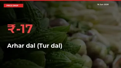 Why Arhar dal (Tur dal) Prices Fell 16.51% in a Day at Mandis