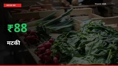 16 June अपडेट: मटकी के दाम मंडी में 88.19% उछले