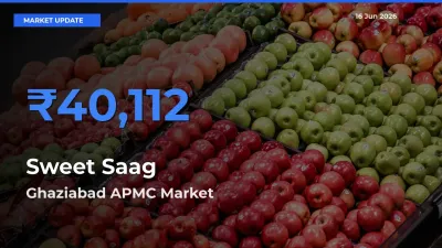 Top Performer! Ghaziabad APMC Offers Best Sweet Saag Price Today