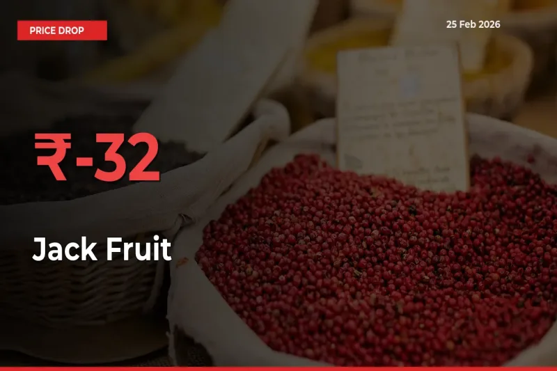 Jack Fruit Prices Drop 32.11% in 24 Hours at Major Mandis